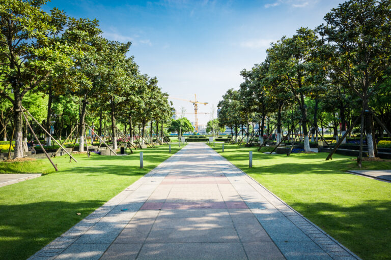 public square with empty road